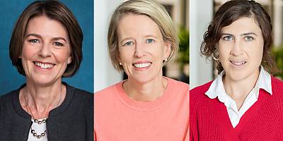 hive legal lw yw8tac