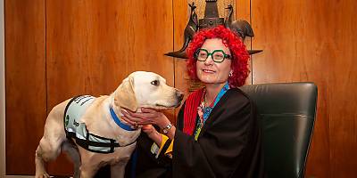 leo FCFCOA lw kzcntp