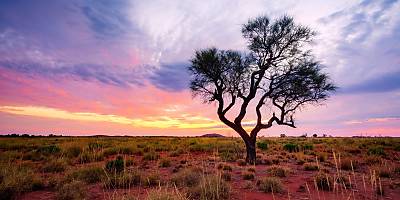 pilbara region WA lw hag72u