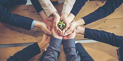 sustainability business team plant lw