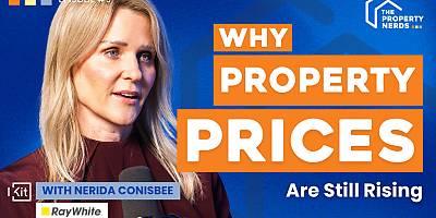 nerida conisbee spi iepfsf