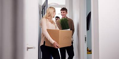 renters spi csfasf