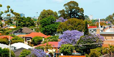 spring house properties spi wauncx