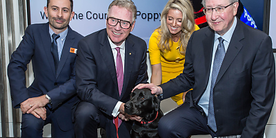 Therapy Dog Poppy LW bi2qgm