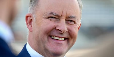 Anthony Albanese 2 ad