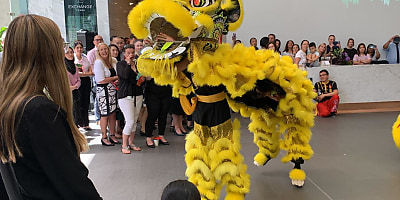 rsm australia chinese year ad o9qvap