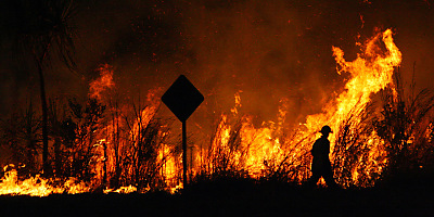 bushfire bd xggrol