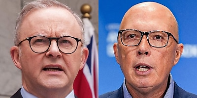 albanese dutton dc xk16rj