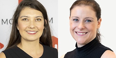 annie kane shandel mcauliffe hr yb25bh