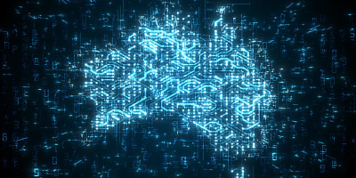 cyber network australia hr mrwpkf