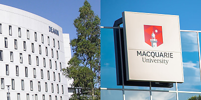 deakin macquarie universities hr dvcvcb
