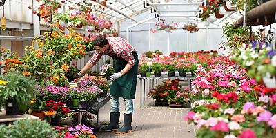 horticulture gardening hr yj2q8c