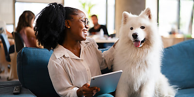 office dog reb vdl0ky