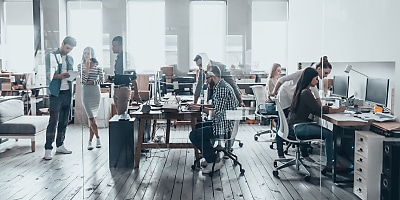 office team employees hr dzs56i