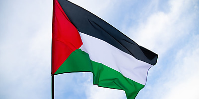 palestine flag hr raxpxp