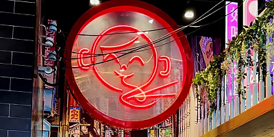 pnut street noodles hr ivskt4