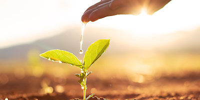 self growth hr kenq0e