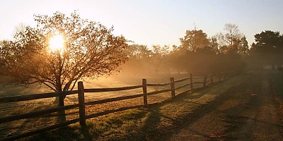 farmland sunrise lw