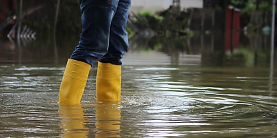 flood mb zukydb