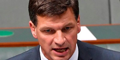 Angus Taylor myb