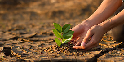 climate environment ne