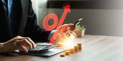 interest rate stable reb xvhr6x