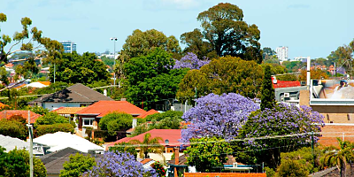 spring house properties spi wauncx