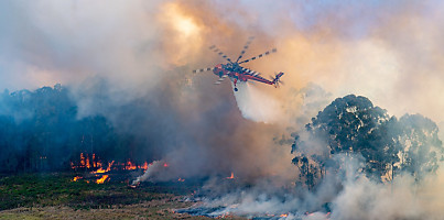 66eb1432940d2ad39a51d1c7ad33c906 mecygq