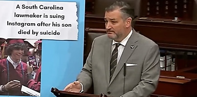 senator ted cruz take it down cd r7dsyy