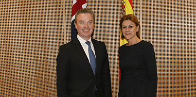 Spanish Minister for Defence