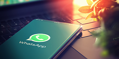 whatsapp csc zoki18
