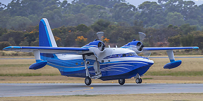 Albatross
