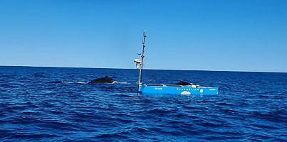 BMT Ocius maritime data collection dc ihfgtk