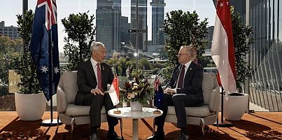 Lee Albanese dc szgdvs