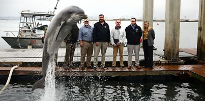 Marine Mammal Program facility dc qoramu