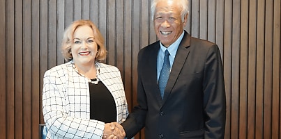 Ng Eng Hen Judith Collins KC dc ete2uq