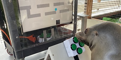 US navy seal training dc cjnnre