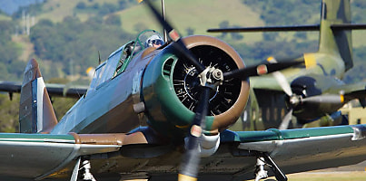 Wings Over Illawarra