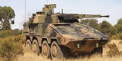 australia germany boxer export dc nfc8jv