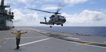 seahawk domestic mainentance ftauyr