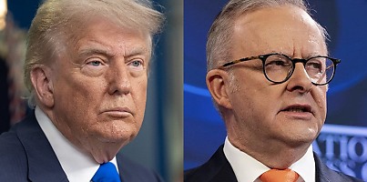 trump albanese dc q2i7ic