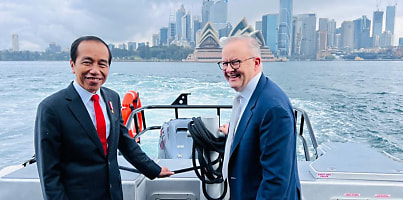 widodo albanese australia dc gw37xm