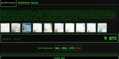 Goodstone Group CMD Organization e9anxt