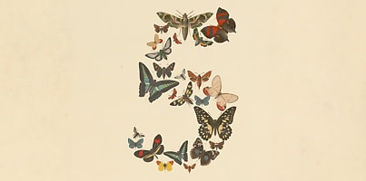 Mythos 5 Fable 5 vp0x4j