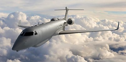 Peregrine art rnlhb3