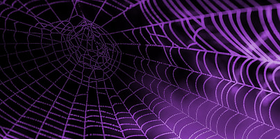 spider web purple may2019