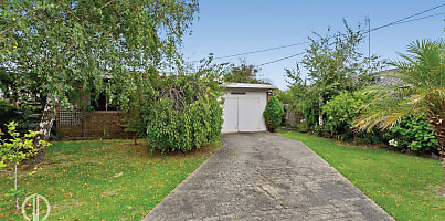 Stringybark BLOG1b
