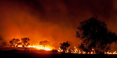 bushfire australia reb fccgub