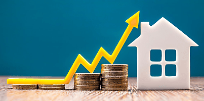 home growth money reb tlxobg