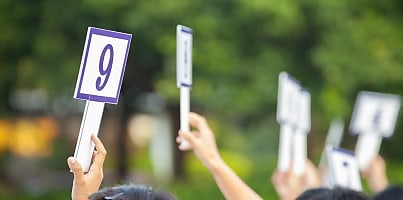 people auction bid reb